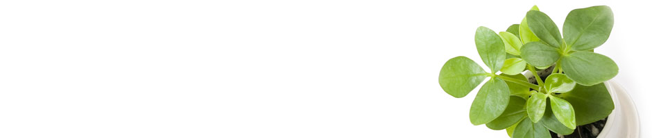 よくあるご質問のページ